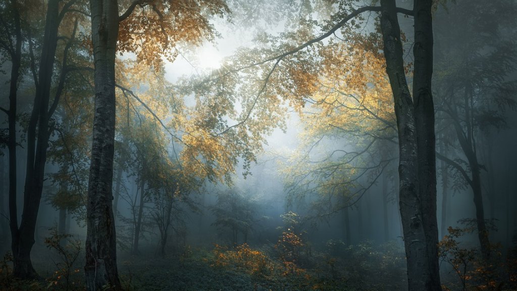 2347_4831_VeselinAtanasov_Bulgaria_Open_LandscapeNature2018Opencompetiti...