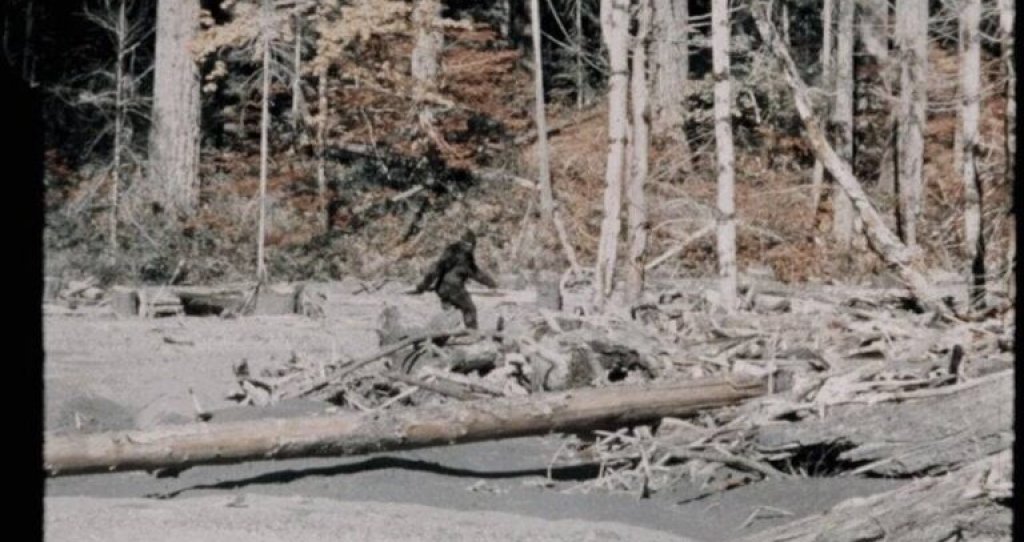 bigfoot-still-768x542