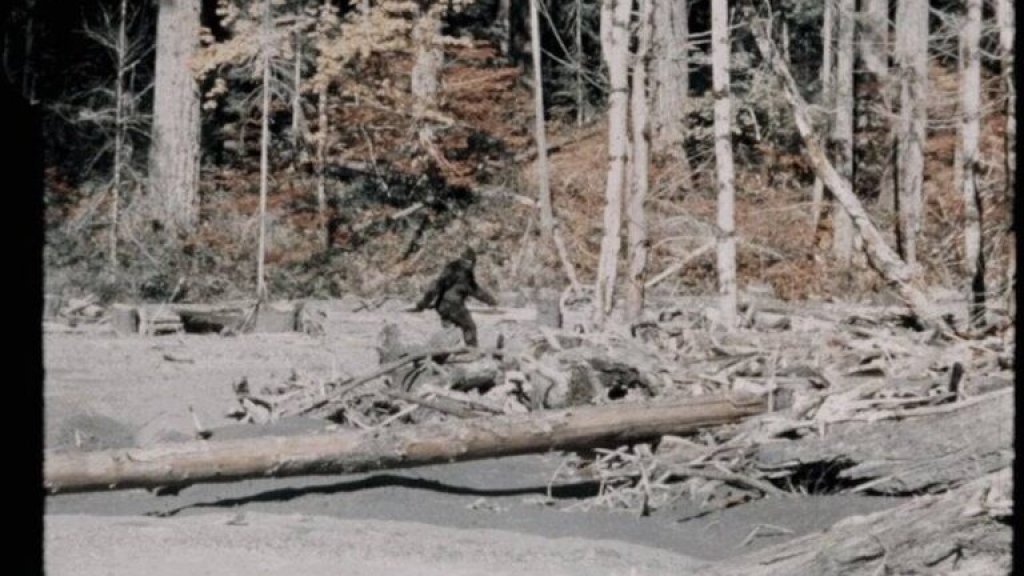bigfoot-still-768x542