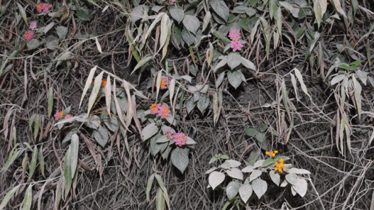 Тихата война за климата