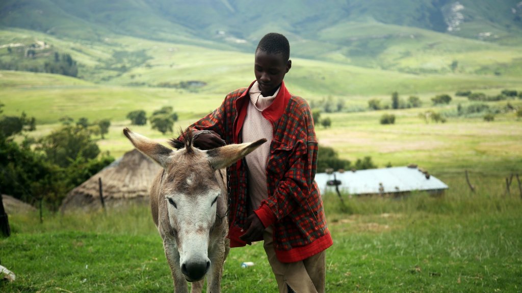 angelo-moleele-URroWgc_x2w-unsplash