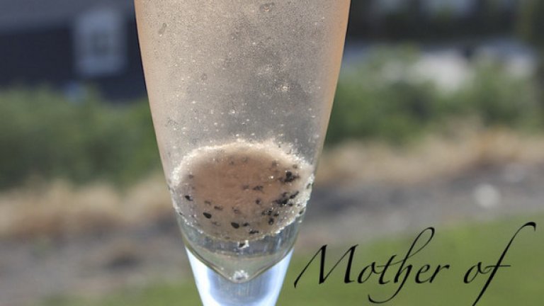 Майката на драконите
Коктейлът съдържа 3 топки от папая, оформени с лъжица, и розе.