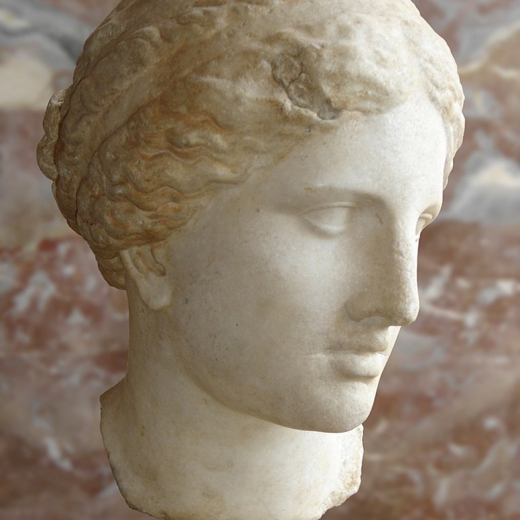 Female head of Cnidian Aphrodite type