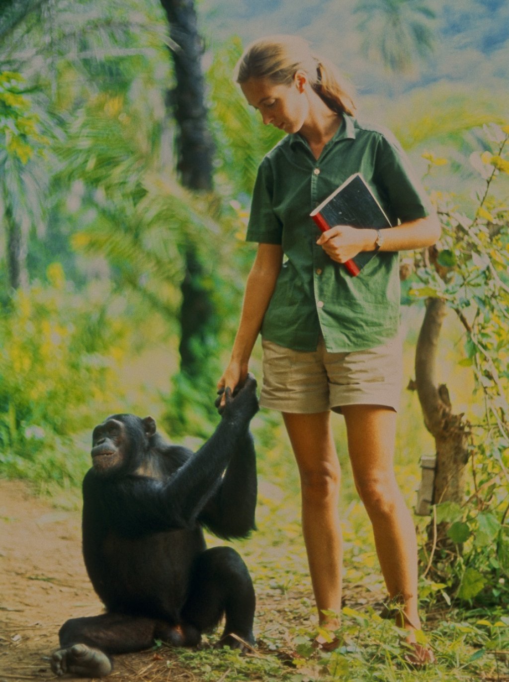 National Geographic_Jane (1)