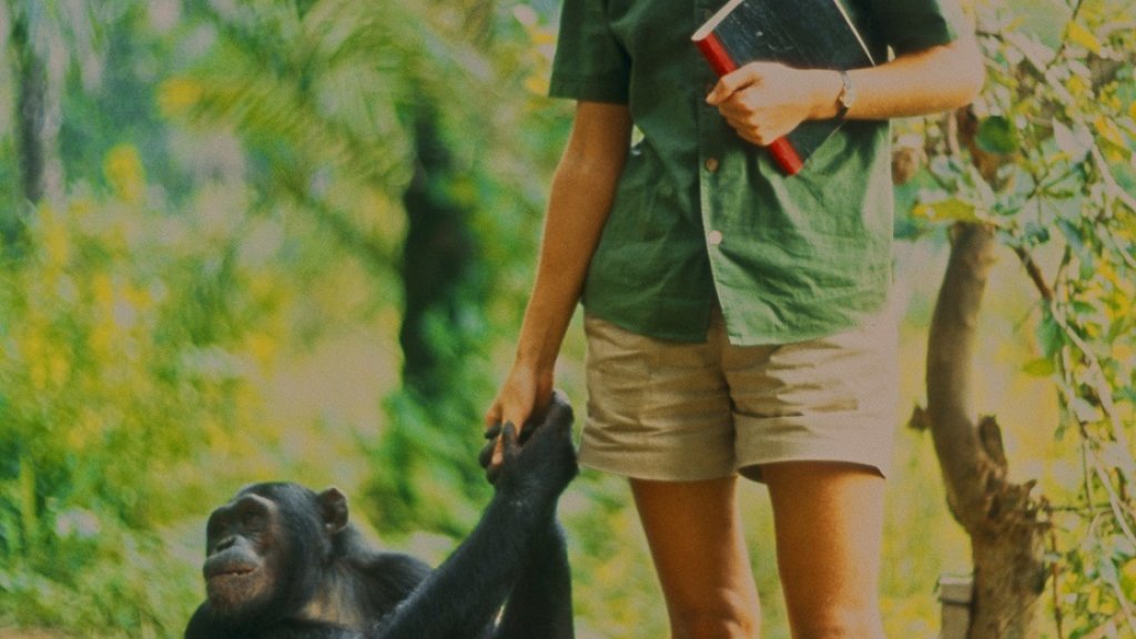 National Geographic_Jane (1)