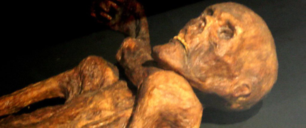 Otzi-Quinson