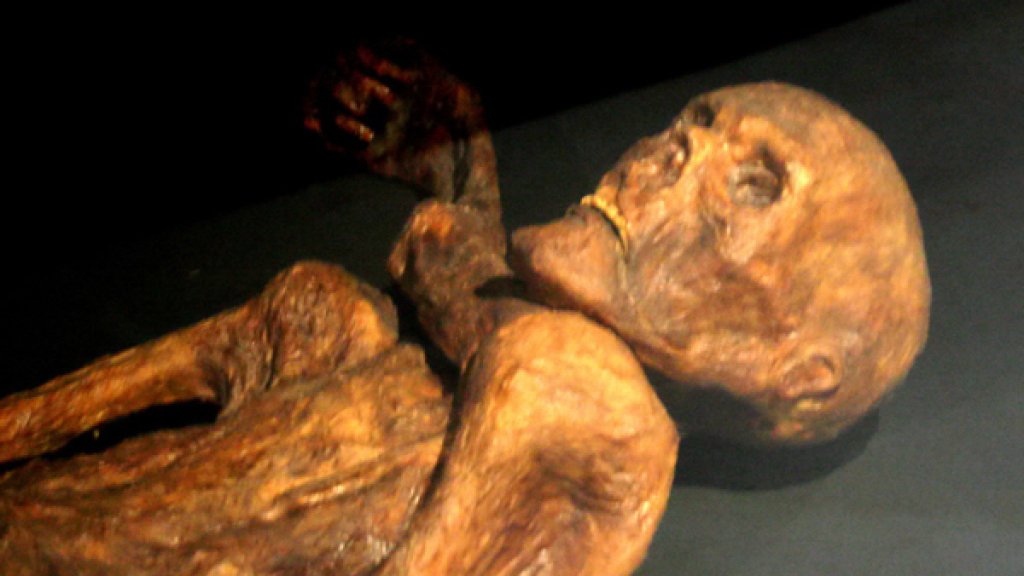 Otzi-Quinson