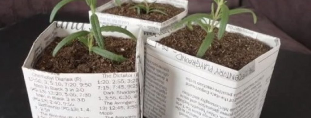 newspaperpots-550x389