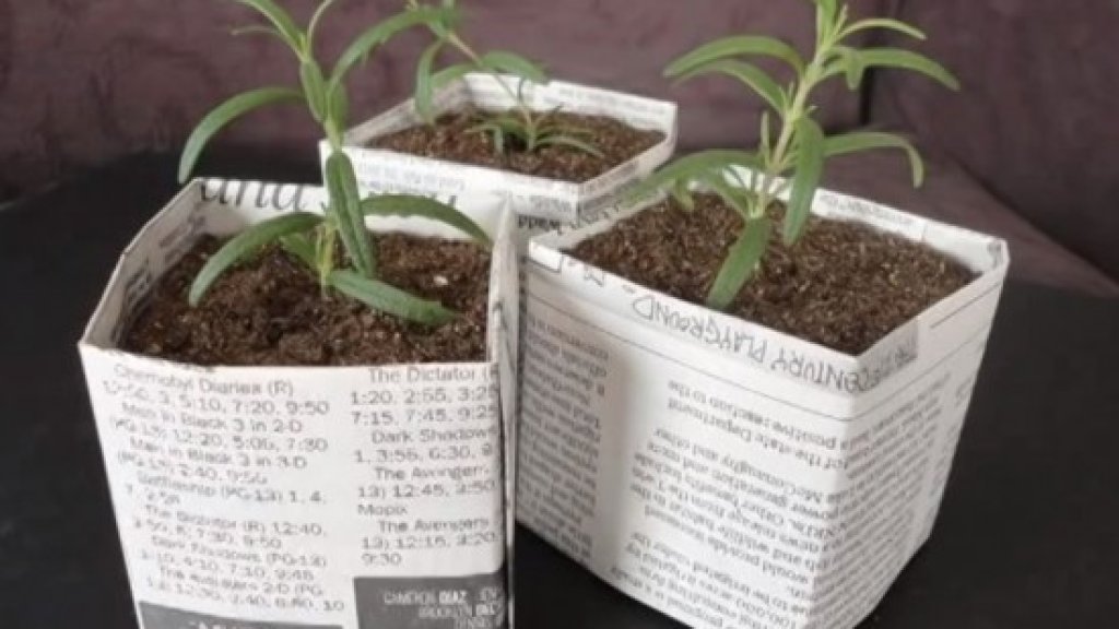 newspaperpots-550x389