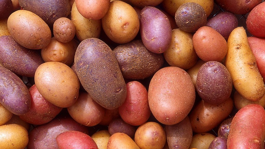 Patates