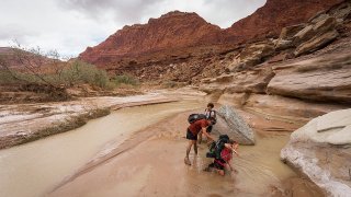 Stuck_in_Quicksand_(13944309974)