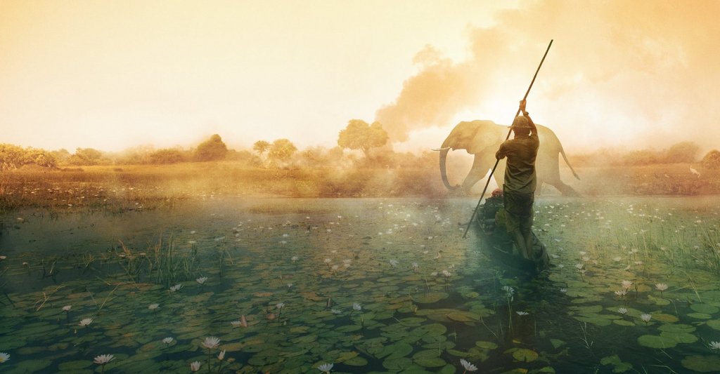 "Into the Okavango" е документален филм на National Geographic, в който се изследва от какво се получава недостигът на вода в делтата на река Окаванго. Филмът е заснет предимно в Ангола и Ботсвана