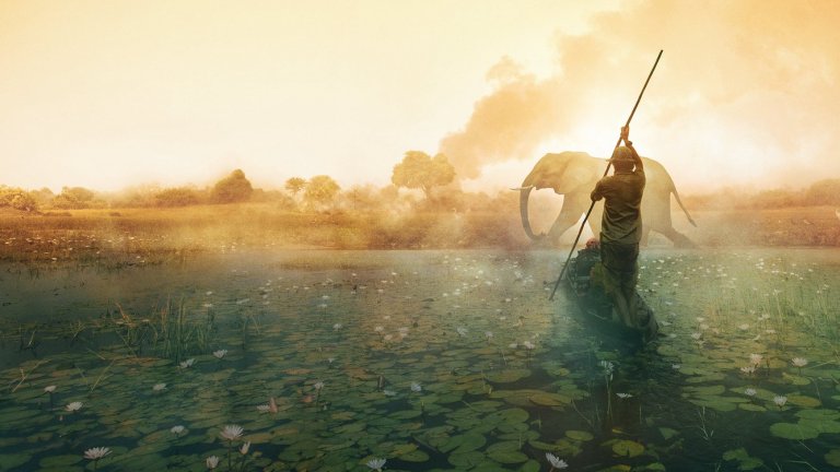 "Into the Okavango" е документален филм на National Geographic, в който се изследва от какво се получава недостигът на вода в делтата на река Окаванго. Филмът е заснет предимно в Ангола и Ботсвана