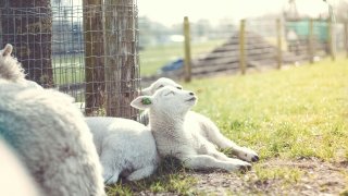 erik-jan-leusink-JAAfRbfUcm8-unsplash