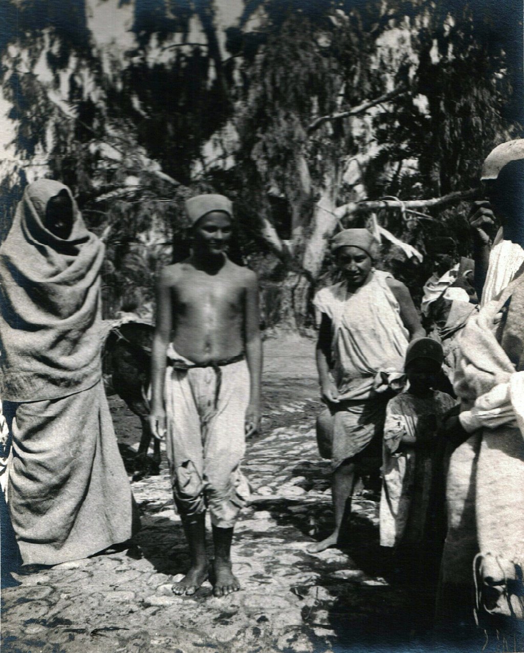 BASA-3K-7-350-13-Sahara