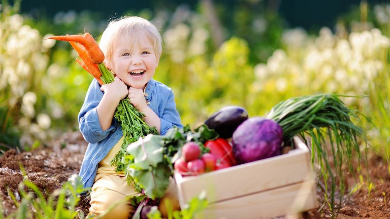И няколко идеи за още училищни менюта, които да задоволят всеки капризен родител