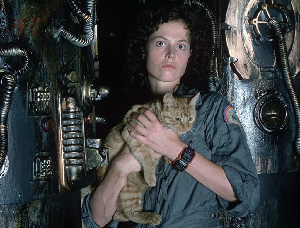 5. Alien / Пришълецът (1979 г.)
Филмът, който изгради славата на Ридли Скот като режисьор, а на Сигорни Уивър - като водеща актриса в киното. "Пришълецът" и до днес остава култова класика за феновете на мрачните истории от Космоса. Историята за космическия паразит, чийто жизнен цикъл минава през това да се приюти в човешко тяло и след това да го разпори отвътре, днес е огромен франчайз с безброй фенове.