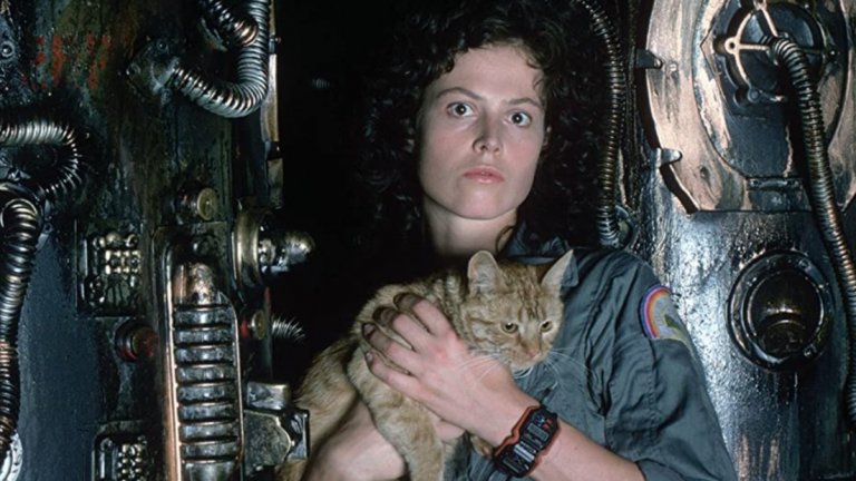 5. Alien / Пришълецът (1979 г.)
Филмът, който изгради славата на Ридли Скот като режисьор, а на Сигорни Уивър - като водеща актриса в киното. "Пришълецът" и до днес остава култова класика за феновете на мрачните истории от Космоса. Историята за космическия паразит, чийто жизнен цикъл минава през това да се приюти в човешко тяло и след това да го разпори отвътре,  днес е огромен франчайз с безброй фенове.