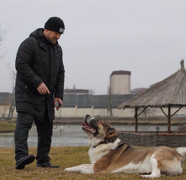 Рамзан Кадиров и кучето му Тарзан