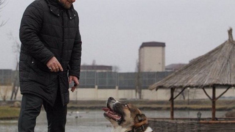 Рамзан Кадиров и кучето му Тарзан