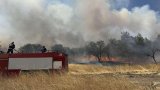 По случая е образувано досъдебно производство