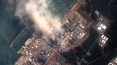 През март 2011-та силно земетресение и последвало го цунами унищожиха голяма част от района, а ядрената централа във Фокушима пострада и изтече радиация във водата, въздуха и почвата.