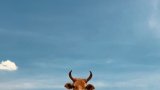 anand-thakur-y0dSeflqUWo-unsplash