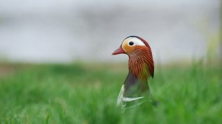 juliane-liebermann-_Dwmi0_dkOo-unsplash